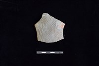 陶片藏品圖，第1張